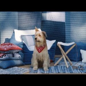 (5/$25) Levi’s for Target Red Pet Bandana, NWT.